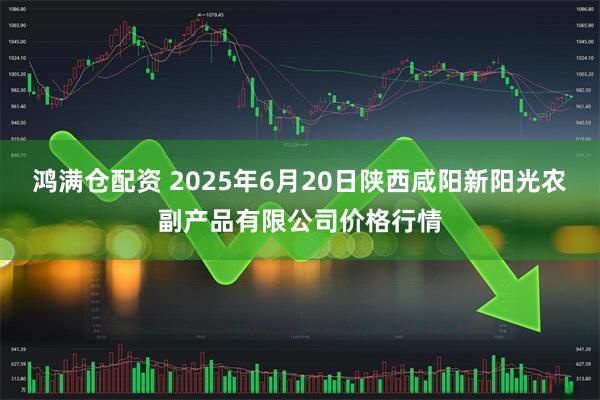 鸿满仓配资 2025年6月20日陕西咸阳新阳光农副产品有限公司价格行情