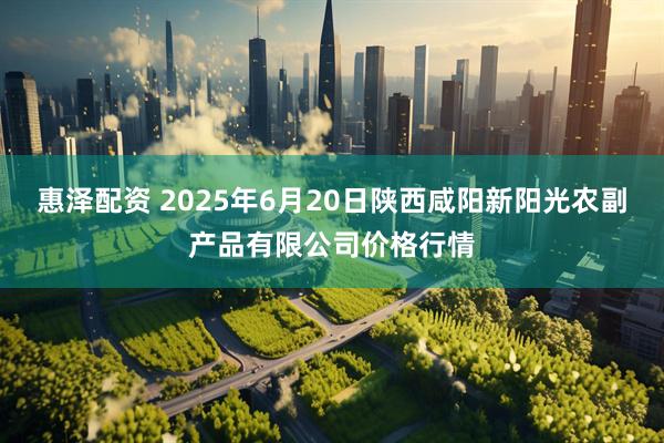 惠泽配资 2025年6月20日陕西咸阳新阳光农副产品有限公司价格行情