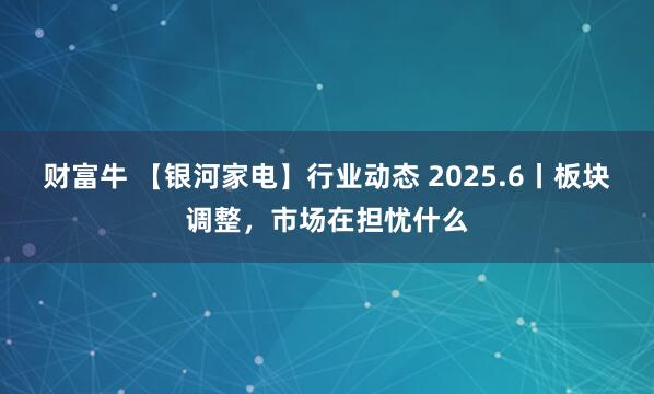 财富牛 【银河家电】行业动态 2025.6丨板块调整，市场在担忧什么