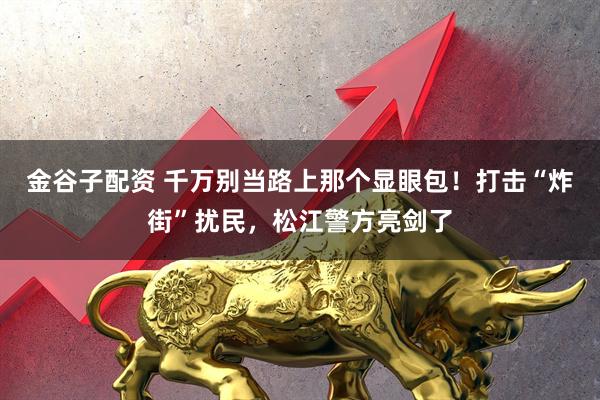 金谷子配资 千万别当路上那个显眼包!打击“炸街”扰民,松江警方亮剑了