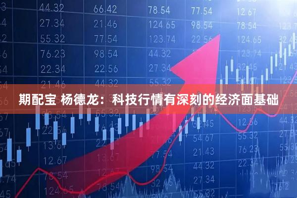 期配宝 杨德龙：科技行情有深刻的经济面基础